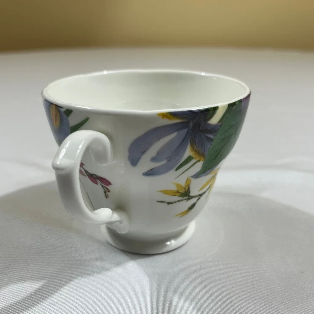 Sadler Tea Cup Saucer Set Multicolor Floral Wellington Bone China